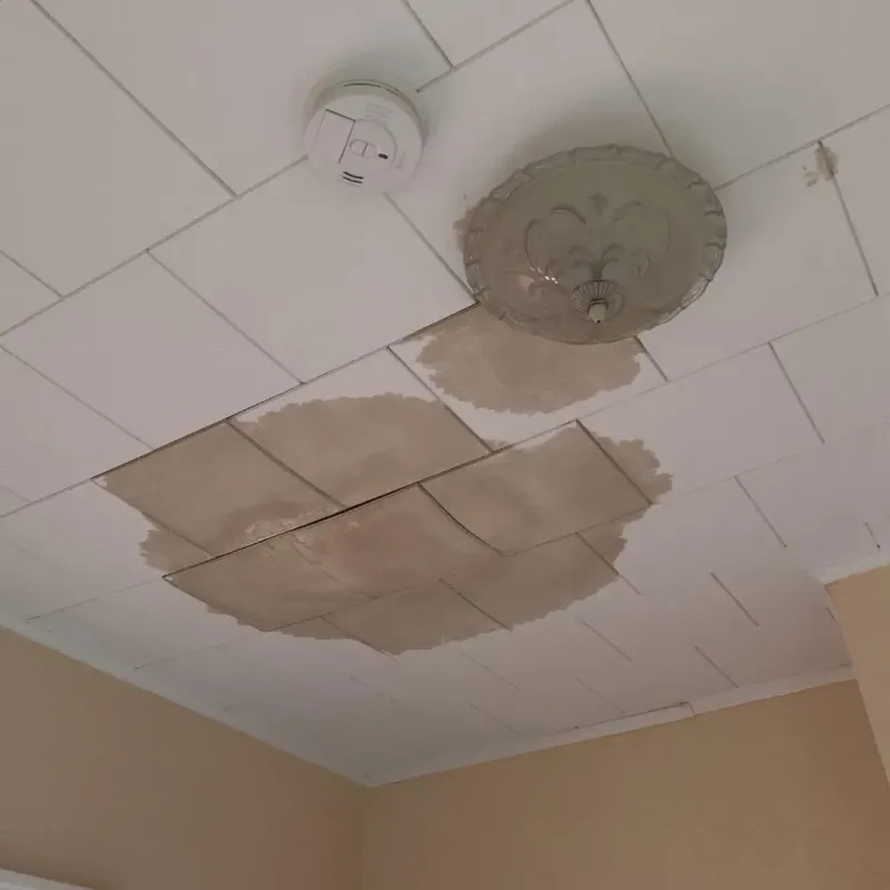 Ceiling Water Damage Repair in Marshall, VA