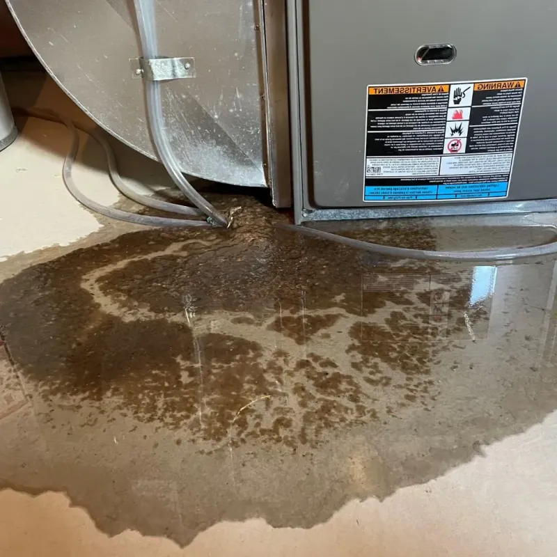 Pipe Burst and Leak Restoration in Marshall, VA