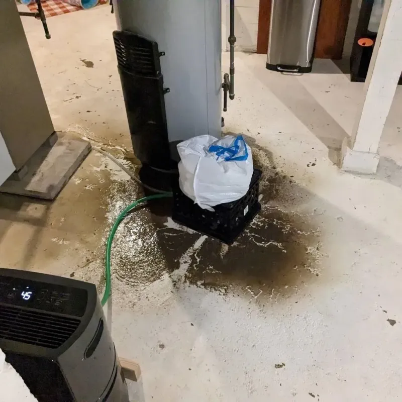Sewage Backup Cleanup Service in Marshall, VA